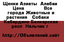 Щенки Азиаты (Алабаи) › Цена ­ 20 000 - Все города Животные и растения » Собаки   . Кабардино-Балкарская респ.,Нальчик г.